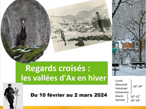 affiche-expo-hiver-dif