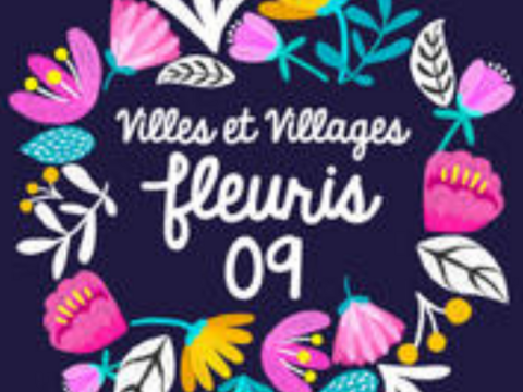 villesetvillagefleuriweb